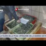 Catania. Tutela della filiera della pesca: operazione della Guardia Costiera