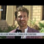 I vini della Doc Monreale: l’anima di un territorio