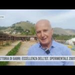 Palermo. La Fattoria di Gabri: eccellenza dell’Istituto Sperimentale Zootecnico