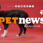 PetNews Magazine – 15/10/2024