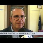 Sant’Alfio. Assemblea dei forestali sul nuovo decreto legge