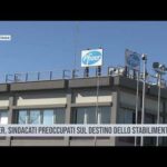 Catania. Pfizer, sindacati preoccupati sul destino dello stabilimento