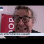 Medianews del 24 11 2024 Prima edizione