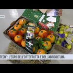 Misterbianco. Taglio del nastro per “Frutech”, l’expo dell’ortofrutta e dell’agricoltura