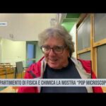 Palermo. Al Dipartimento di Fisica e Chimica la mostra “Pop Microscopy”