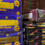 Bologna, sequestrati 100mila fuochi d’artificio illegali