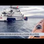 Catania. La Guardia Costiera in difesa della filiera della pesca