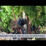 Palermo. Nasce la Federazione Strade del Vino, dell’Olio e dei Sapori di Sicilia