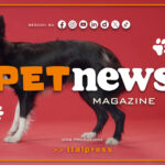 PetNews Magazine – 24/12/2024