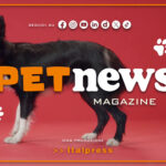 PetNews Magazine – 31/12/2024