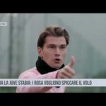 Palermo. Arriva la Juve Stabia: i rosa vogliono spiccare il volo