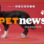 PetNews Magazine – 7/1/2025