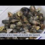 Santa Flavia. Sequestrate oltre 8 tonnellate di pesce non tracciato